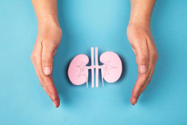 Calculs rénaux : symptômes, causes et traitements