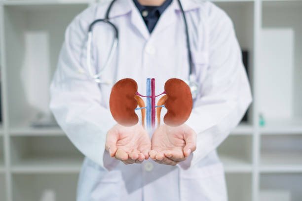 Prise en charge en urologie générale